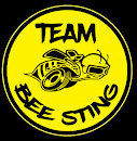 Bee Sting Music